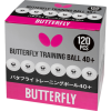 BUTTERFLY TRAINING BALLS 40+ CHINA