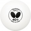 BUTTERFLY TRAINING BALLS 40+ CHINA
