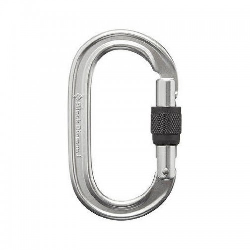 კარაბინი Black Diamond ROCKLOCK SCREWGATE CARABINER Gray