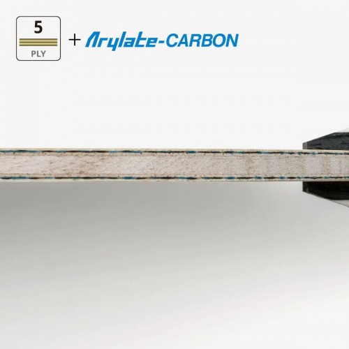 ხე Butterfly TIMO BOLL 30th Anniversary Blade FL